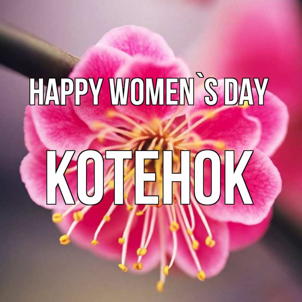 Greetings card с именем, Котенок happy women`s day цветы Greetings with text for free download 
